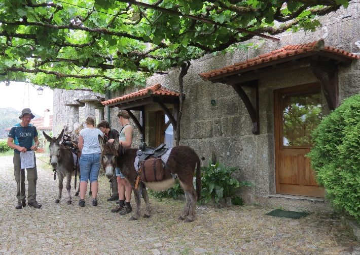 Walk slowly with a donkey in North of Portugal Pincho, explore Pincho waterfall, the countryside and discover Montaria village, Serra de Arga Natural Park - Viana do Castelo